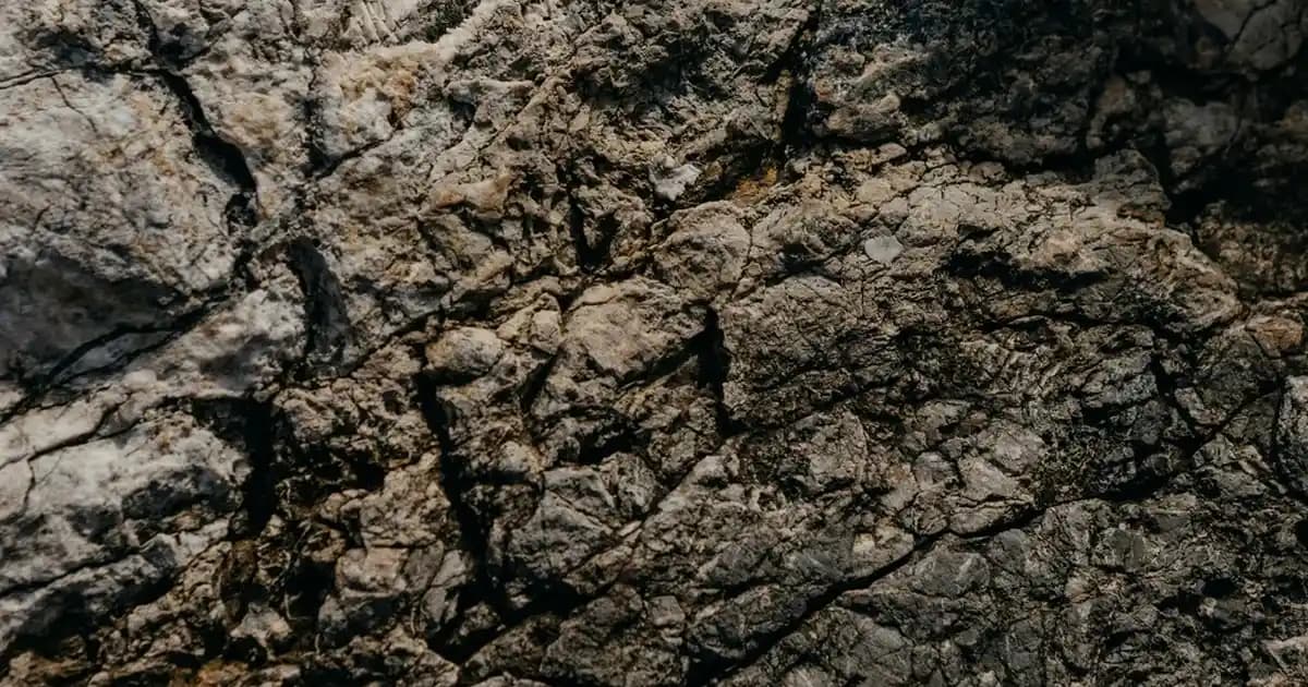 Bambu Sandalye Kılıfları: Doğal ve Pratik Ev Dekorasyonunda Şık Çözümler